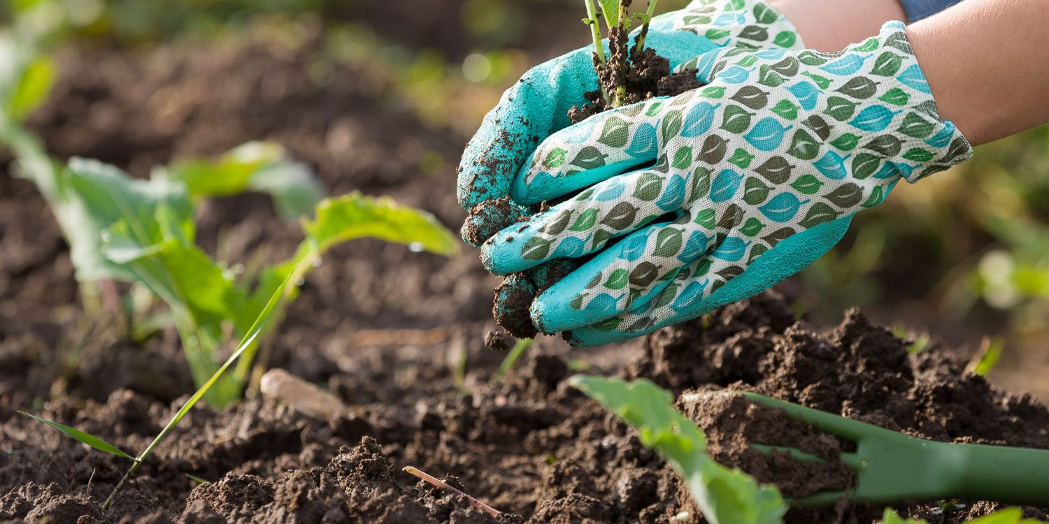 ATTREZZI PER IL GIARDINO CHE NON POSSONO MANCARE Peraga Garden Center