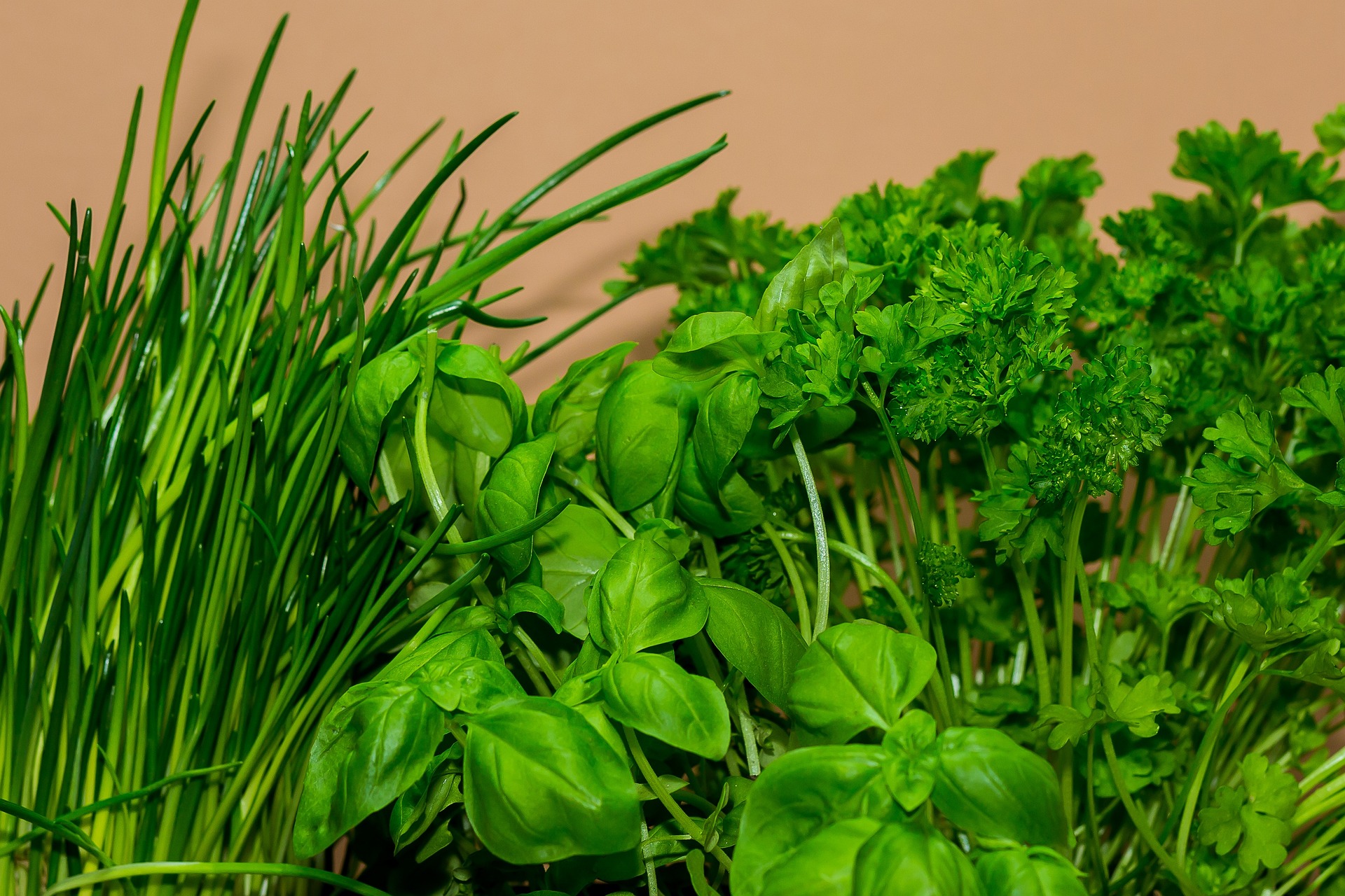 Orto sul balcone di casa: Guida alla creazione - Peraga Garden Center